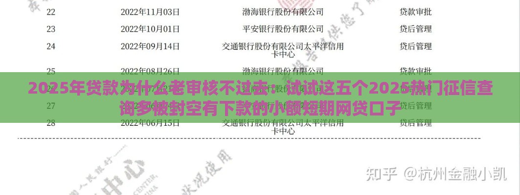 2025年贷款为什么老审核不过去：试试这五个2025热门征信查询多被封空有下款的小额短期网贷口子