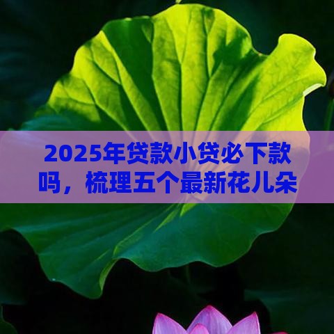2025年贷款小贷必下款吗，梳理五个最新花儿朵朵贷款平台官网