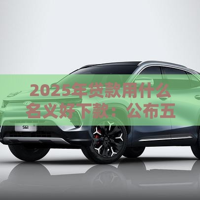 2025年贷款用什么名义好下款：公布五个2025热门19岁贷款平台