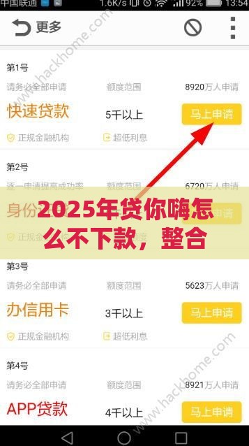 2025年贷你嗨怎么不下款，整合五个最新借钱易通过的平台