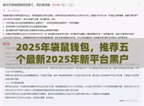2025年袋鼠钱包，推荐五个最新2025年新平台黑户也能下款这种