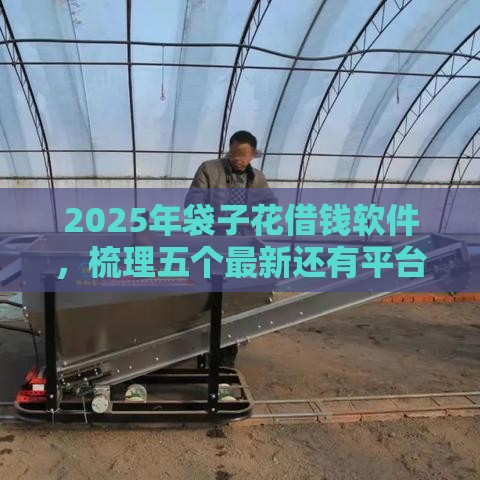 2025年袋子花借钱软件，梳理五个最新还有平台可以借钱