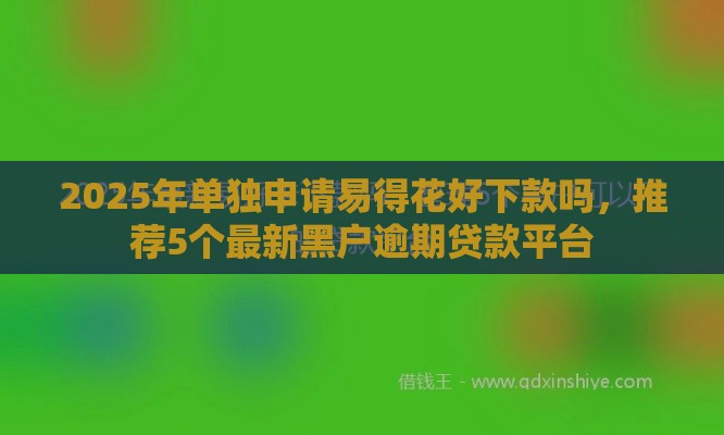 2025年单独申请易得花好下款吗，推荐5个最新黑户逾期贷款平台
