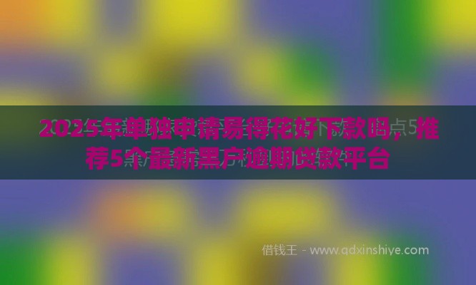 2025年单独申请易得花好下款吗，推荐5个最新黑户逾期贷款平台