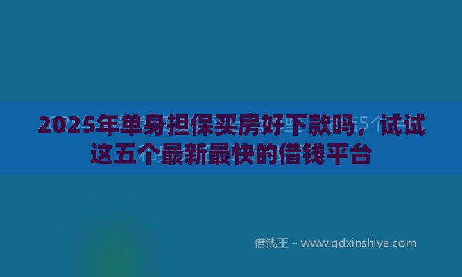 2025年单身担保买房好下款吗，试试这五个最新最快的借钱平台