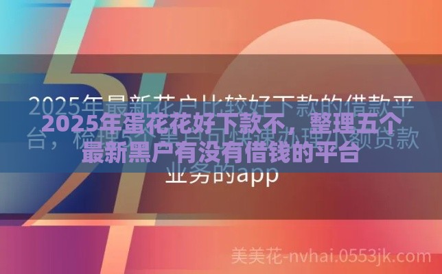 2025年蛋花花好下款不，整理五个最新黑户有没有借钱的平台