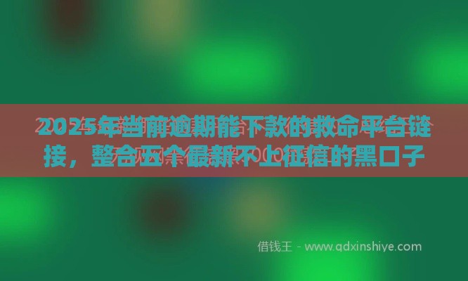 2025年当前逾期能下款的救命平台链接，整合五个最新不上征信的黑口子
