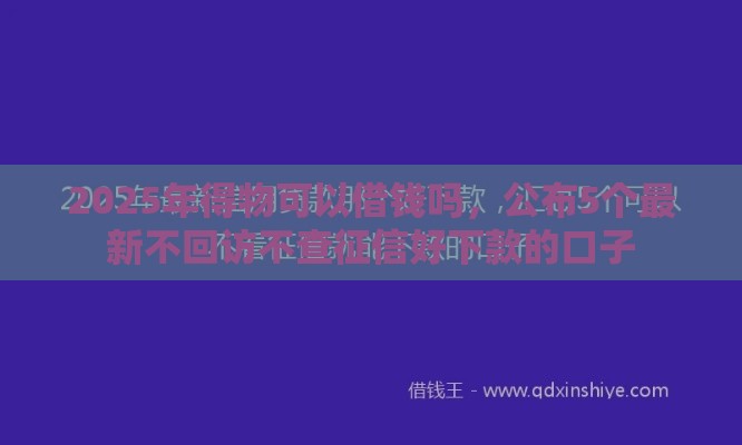 2025年得物可以借钱吗，公布5个最新不回访不查征信好下款的口子