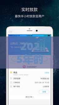 2025年的放款平台排名第一：整理五个2025热门贷款小平台