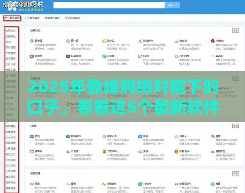 2025年登峰购绝对能下的口子，看看这5个最新软件借钱利息低又安全