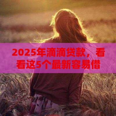 2025年滴滴贷款，看看这5个最新容易借钱的平台