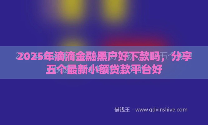 2025年滴滴金融黑户好下款吗，分享五个最新小额贷款平台好