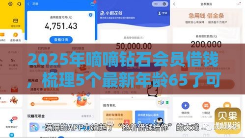 2025年嘀嘀钻石会员借钱，梳理5个最新年龄65了可以申请的网贷平台