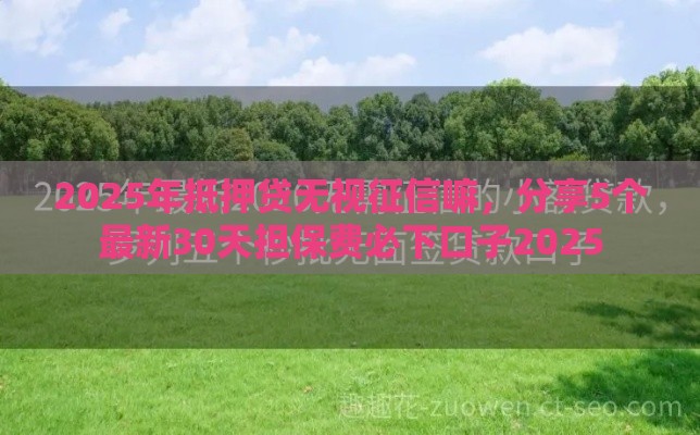 2025年抵押贷无视征信嘛，分享5个最新30天担保费必下口子2025