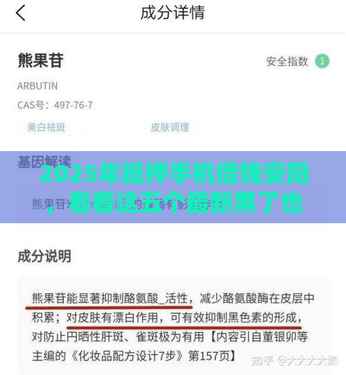 2025年抵押手机借钱安阳，看看这五个最新黑了也可以放款的平台