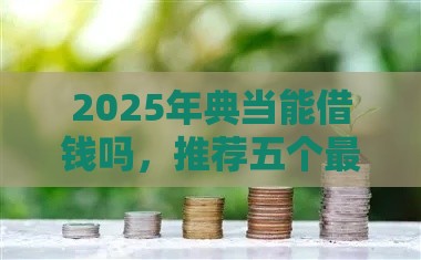 2025年典当能借钱吗，推荐五个最新借款平台贷款不看征信