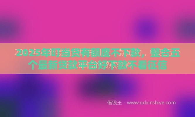 2025年叮当贷有额度不下款，整合五个最新贷款平台好下款不看征信