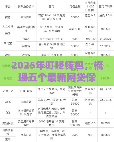 2025年叮咚钱包，梳理五个最新网贷保单贷最好的平台