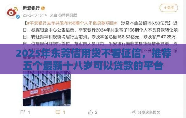 2025年东莞信用贷不看征信，推荐五个最新十八岁可以贷款的平台