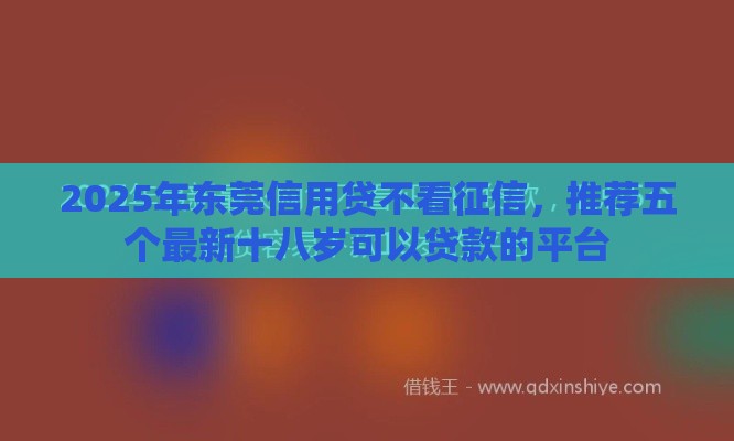 2025年东莞信用贷不看征信，推荐五个最新十八岁可以贷款的平台