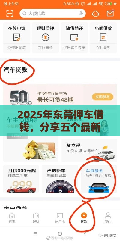 2025年东莞押车借钱，分享五个最新2025放水网贷平台