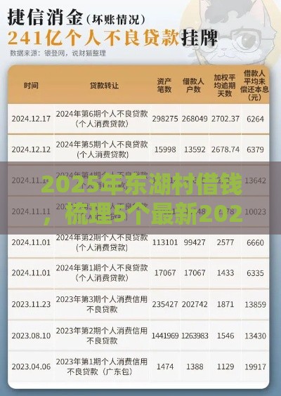 2025年东湖村借钱，梳理5个最新2025放款口子论坛