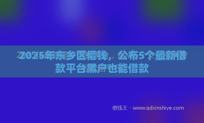 2025年东乡区借钱，公布5个最新借款平台黑户也能借款