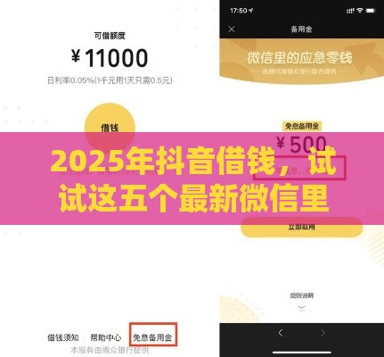 2025年抖音借钱，试试这五个最新微信里的贷款平台