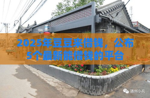 2025年豆豆来借钱，公布5个最新能借钱的平台