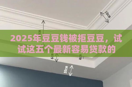 2025年豆豆钱被拒豆豆，试试这五个最新容易贷款的平台