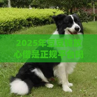 2025年豆豆钱放心借是正规平台吗，梳理五个最新p2p平台贷款