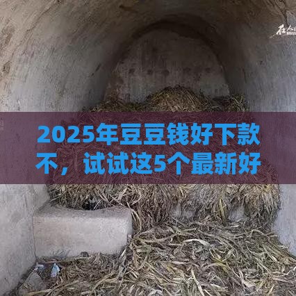 2025年豆豆钱好下款不，试试这5个最新好下口子网