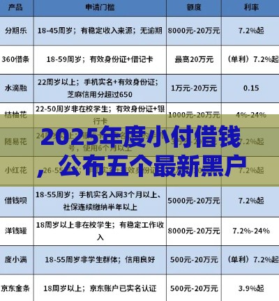 2025年度小付借钱，公布五个最新黑户口子
