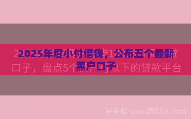 2025年度小付借钱，公布五个最新黑户口子