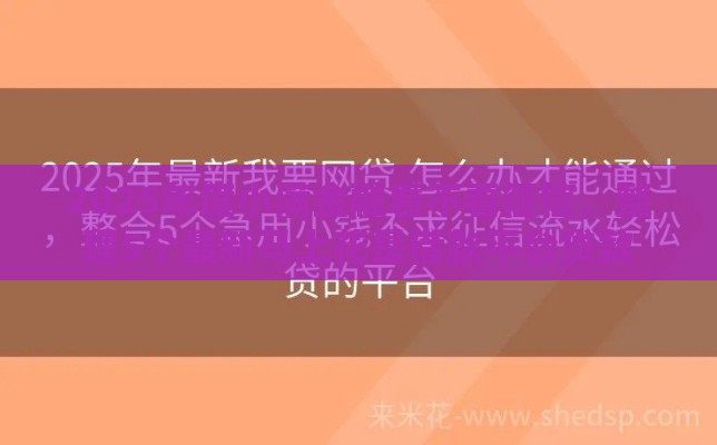 2025年度小满金融看不看征信，整理5个最新马上花是借款平台贷款