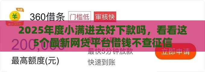 2025年度小满进去好下款吗，看看这5个最新网贷平台借钱不查征信