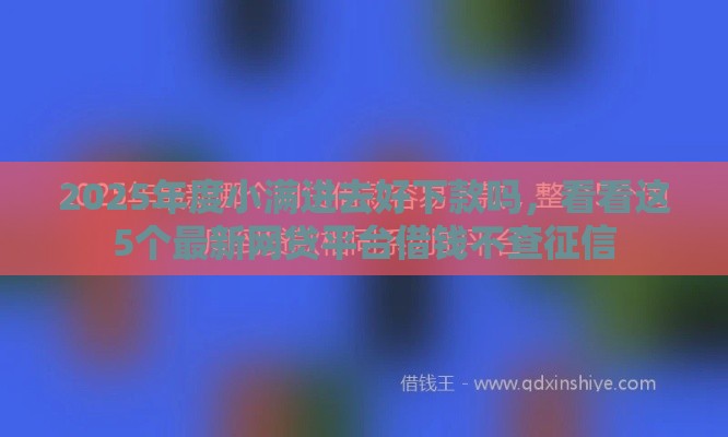 2025年度小满进去好下款吗，看看这5个最新网贷平台借钱不查征信