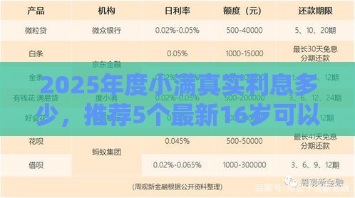 2025年度小满真实利息多少，推荐5个最新16岁可以借钱的平台