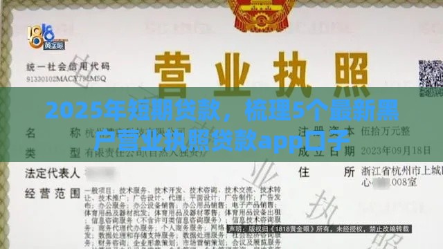 2025年短期贷款，梳理5个最新黑户营业执照贷款app口子