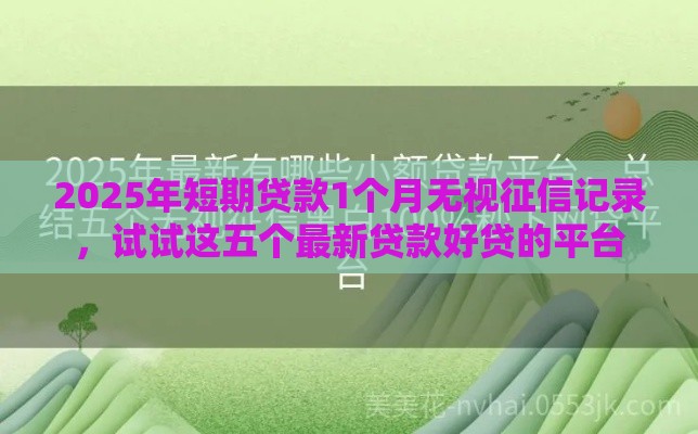 2025年短期贷款1个月无视征信记录，试试这五个最新贷款好贷的平台