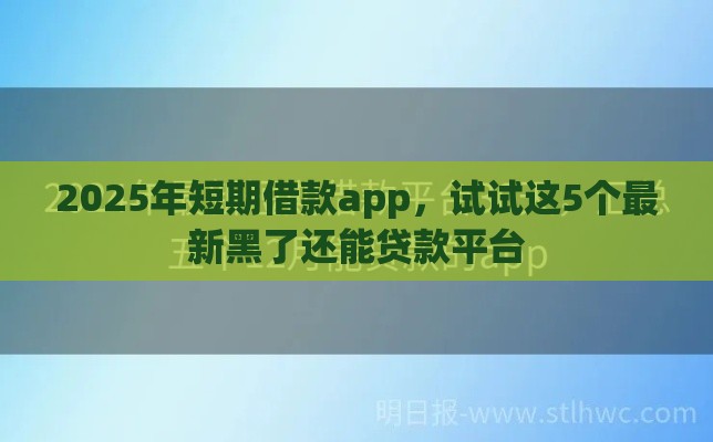 2025年短期借款app，试试这5个最新黑了还能贷款平台