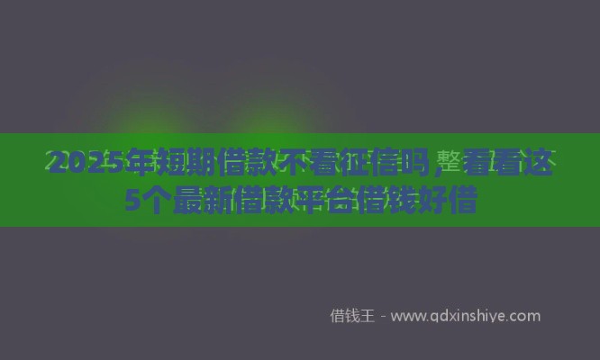2025年短期借款不看征信吗，看看这5个最新借款平台借钱好借
