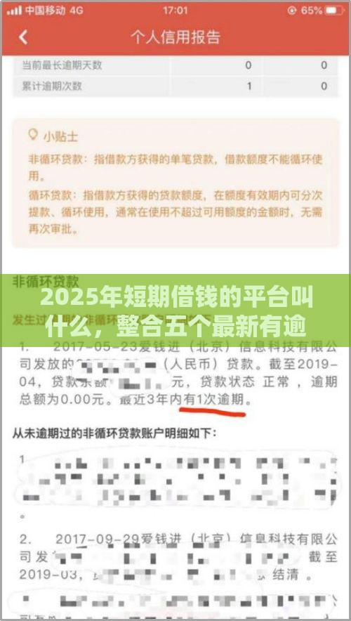 2025年短期借钱的平台叫什么，整合五个最新有逾期可以在借款平台借钱