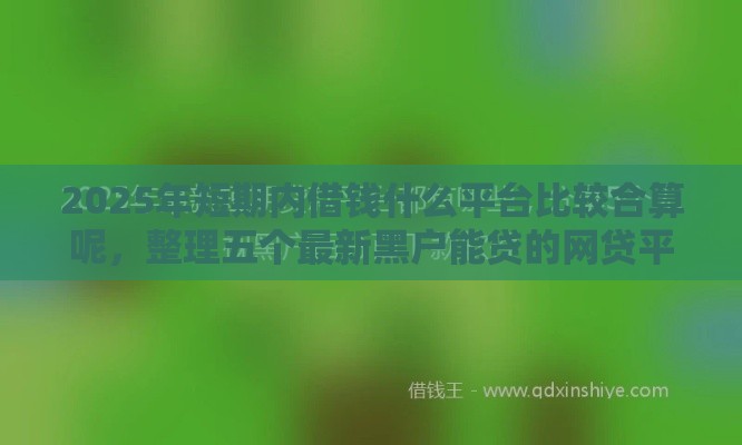 2025年短期内借钱什么平台比较合算呢，整理五个最新黑户能贷的网贷平台