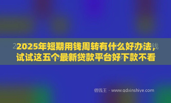 2025年短期用钱周转有什么好办法，试试这五个最新贷款平台好下款不看征信
