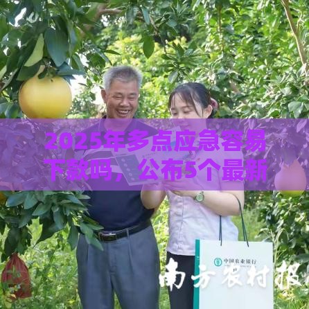 2025年多点应急容易下款吗，公布5个最新车贷款平台
