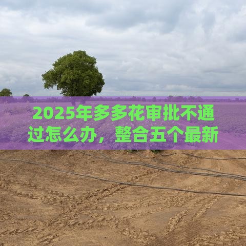 2025年多多花审批不通过怎么办，整合五个最新车辆抵押贷款平台