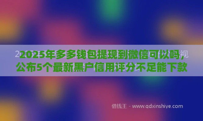 2025年多多钱包提现到微信可以吗，公布5个最新黑户信用评分不足能下款的软件