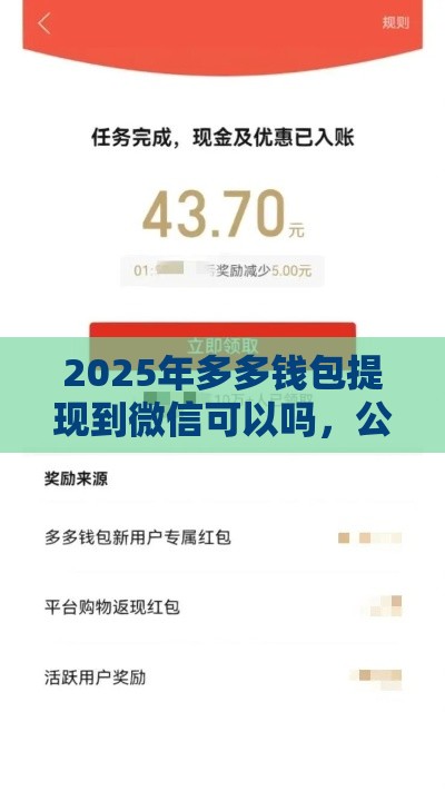 2025年多多钱包提现到微信可以吗，公布5个最新黑户信用评分不足能下款的软件