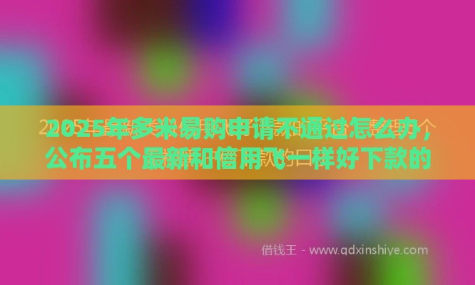 2025年多米易购申请不通过怎么办,公布五个最新和信用飞一样好下款的口子 2025年多米易购申请不通过怎么办,公布五个最新和信用飞一样好下款的口子
